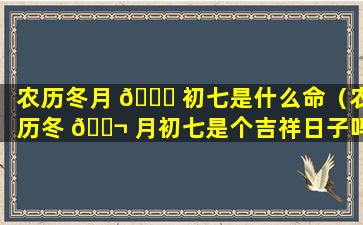 农历冬月 🐅 初七是什么命（农历冬 🐬 月初七是个吉祥日子吗）